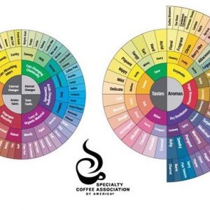 Aromarad der Specialty Coffee Association of America